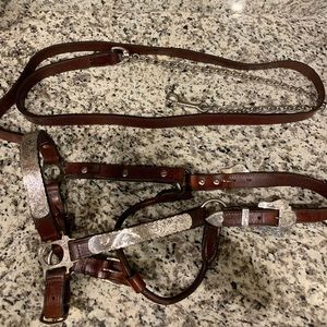 Circle Y Silver Show Halter